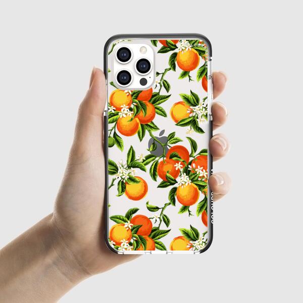 iPhone Case - Oranges On A Branch Mandarin Tree Tangerine